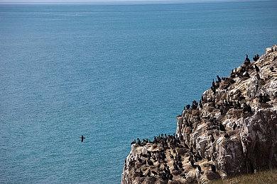 “酷霸王”出售破解版NS 美国政府想把他关五年
